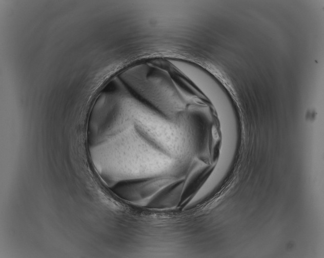 X0000090420481200708031109