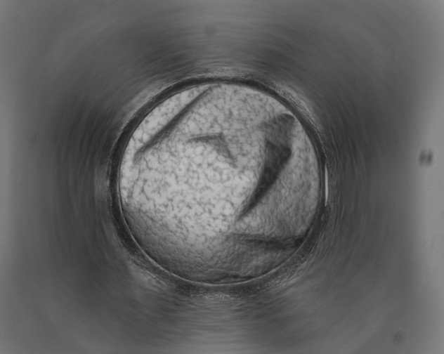 X0000090420483200708031109