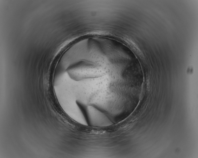 X0000090420484200708031109