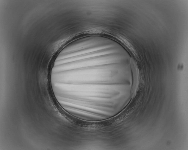 X0000090420485200708031109