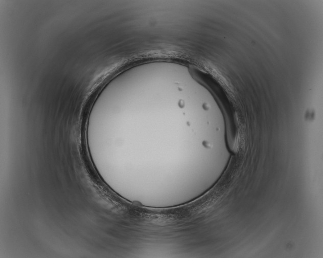 X0000090420486200708031109