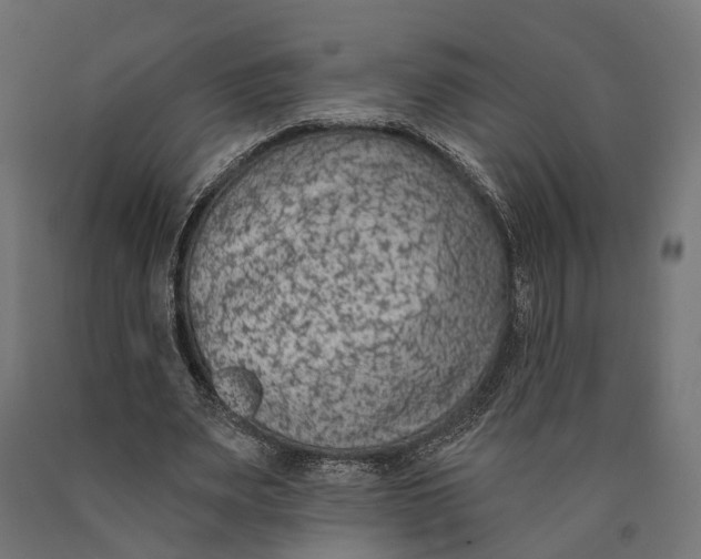 X0000090420487200708031109