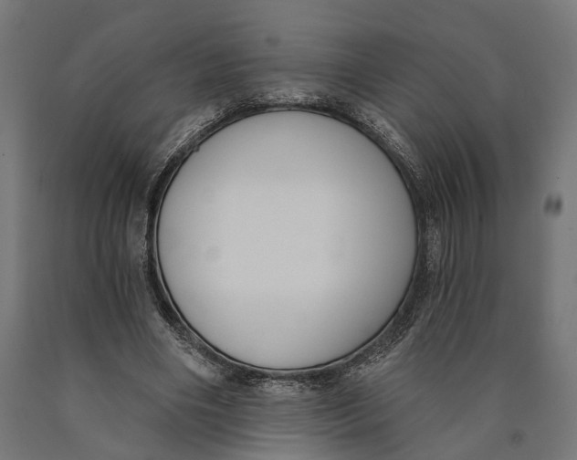 X0000090420490200708031109