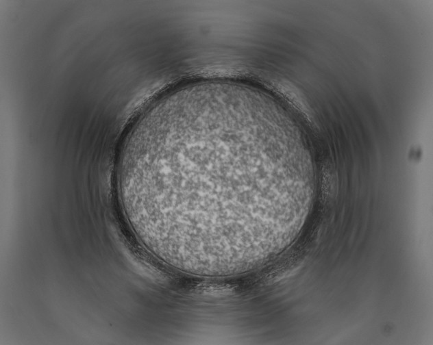 X0000090420491200708031109