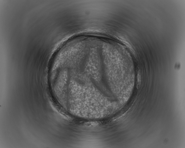 X0000090420492200708031109