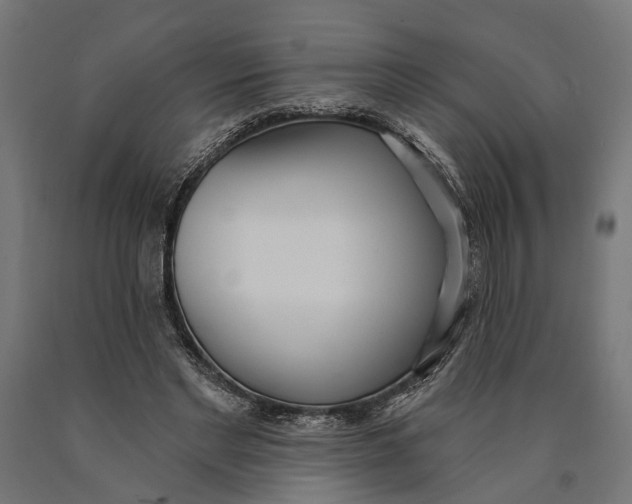 X0000090420493200708031109