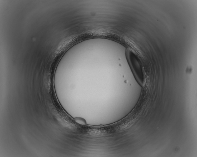 X0000090420494200708031109