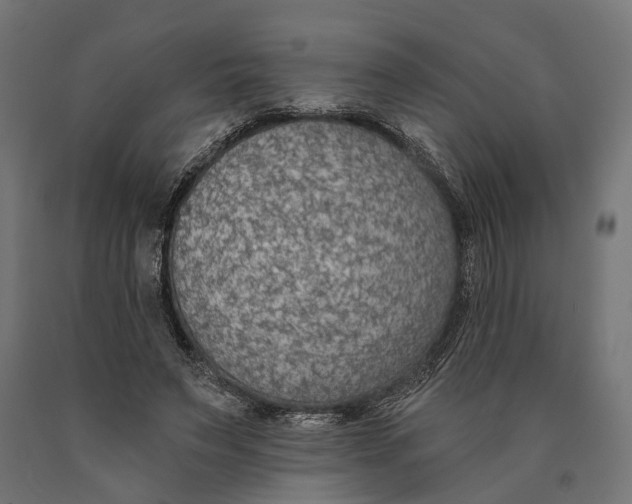 X0000090420495200708031109