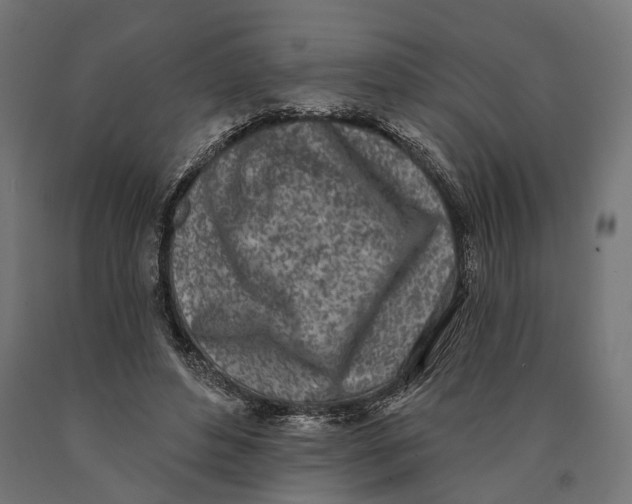 X0000090420496200708031109