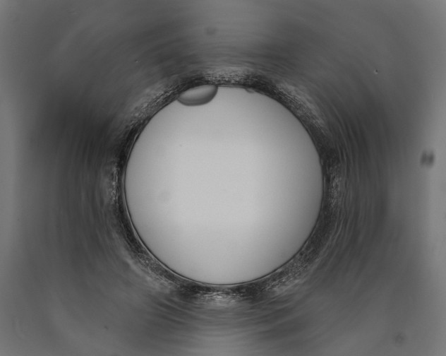 X0000090420498200708031109