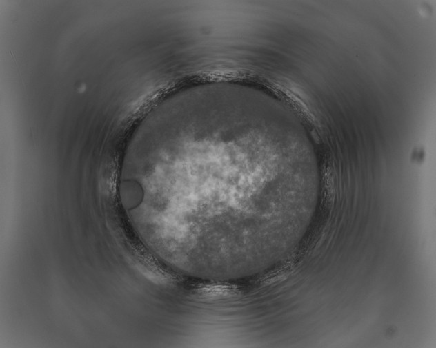 X0000090420499200708031109