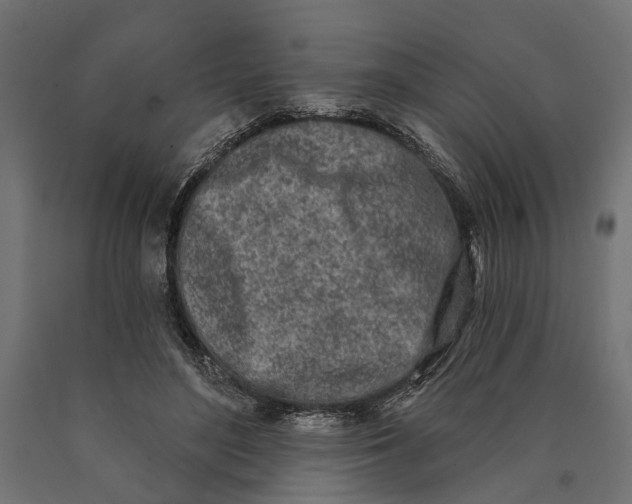 X0000090420500200708031109