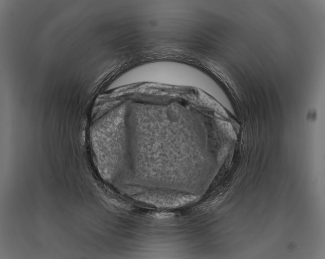 X0000090420501200708031109