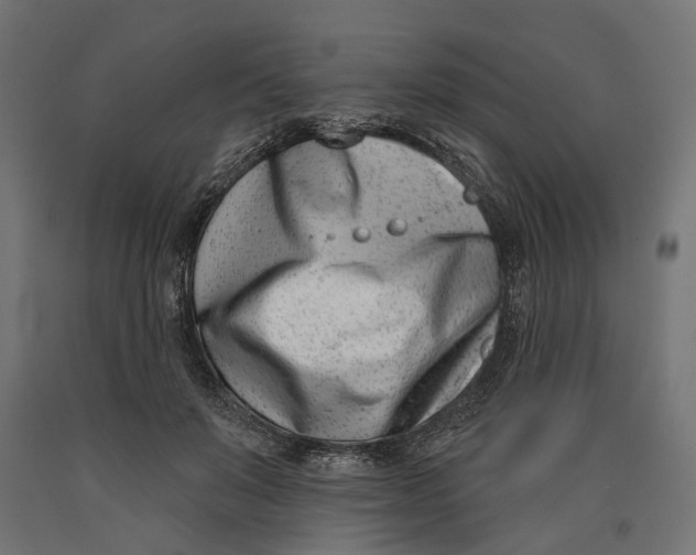 X0000090420503200708031109