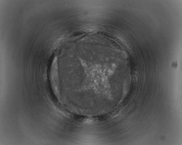 X0000090420504200708031109