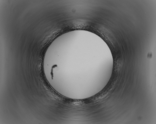 X0000090420505200708031109