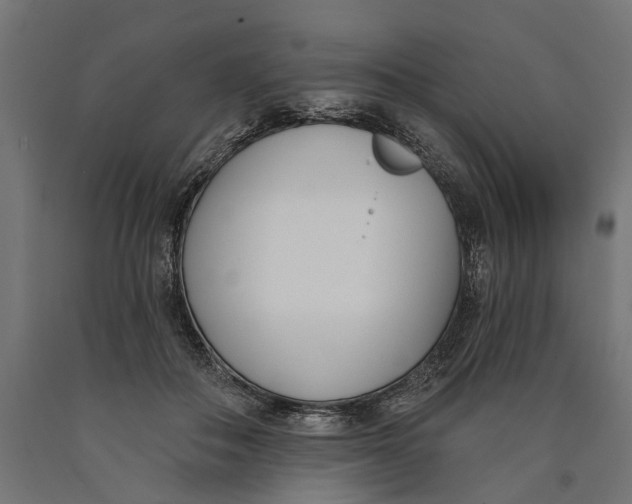 X0000090420506200708031109