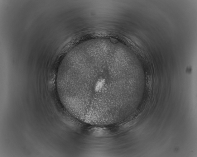 X0000090420507200708031109