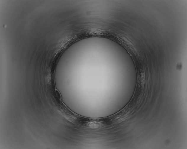 X0000090420508200708031109