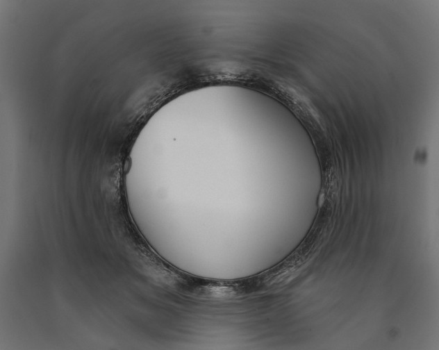 X0000090420509200708031109