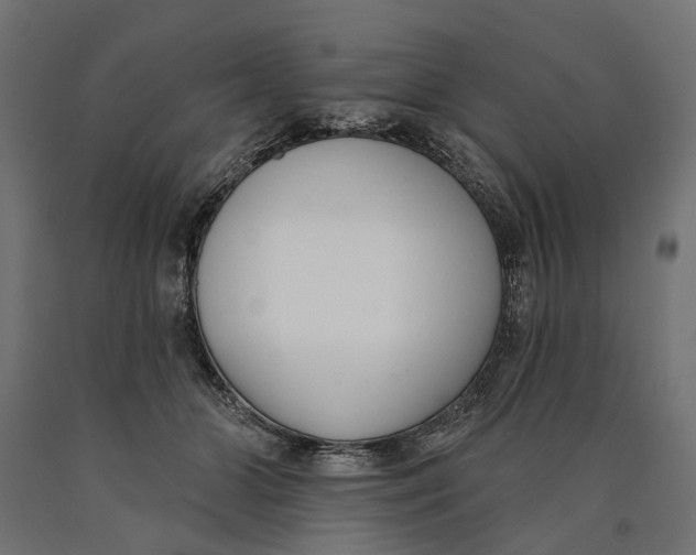 X0000090420510200708031109