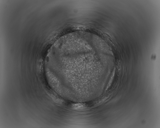 X0000090420511200708031109