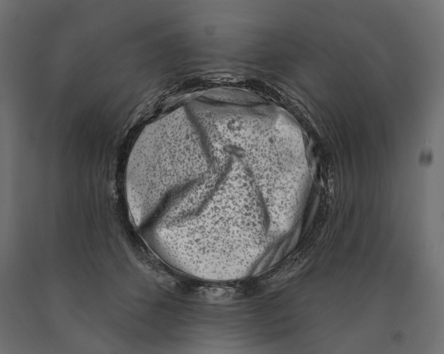 X0000090420512200708031109