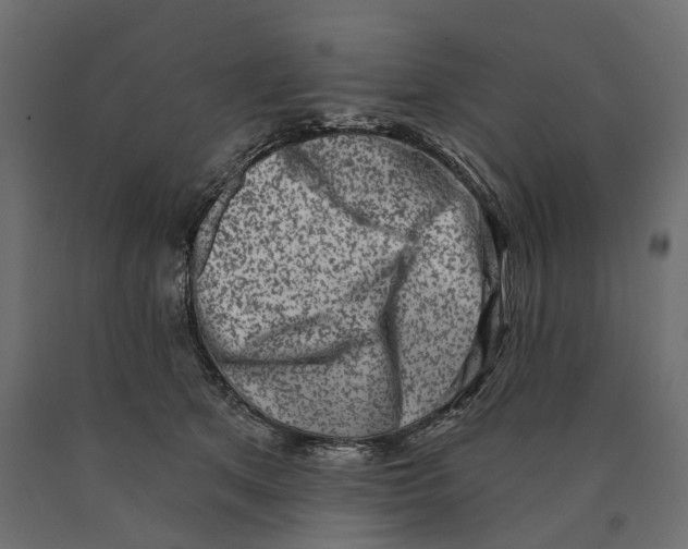 X0000090420513200708031109