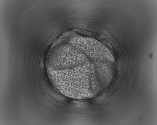 X0000090420516200708031109