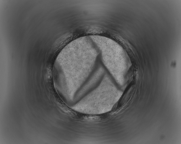 X0000090420517200708031109