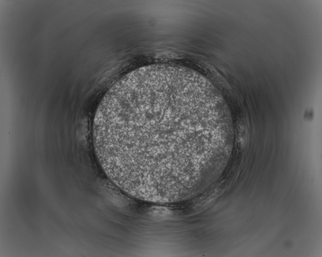 X0000090420519200708031109