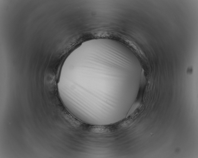 X0000090420521200708031109