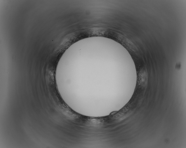 X0000090420522200708031109