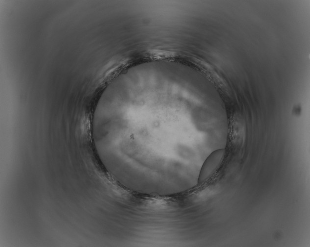 X0000090420523200708031109