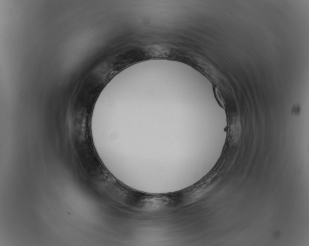 X0000090420525200708031109