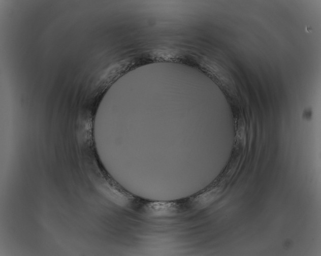 X0000090420526200708031109