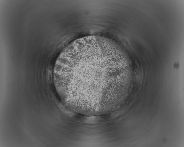 X0000090420527200708031109