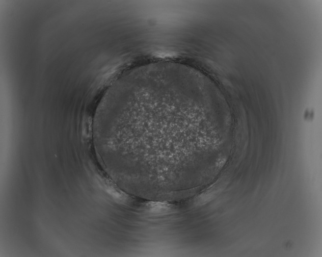 X0000090420528200708031109