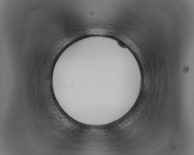 X0000090420529200708031108