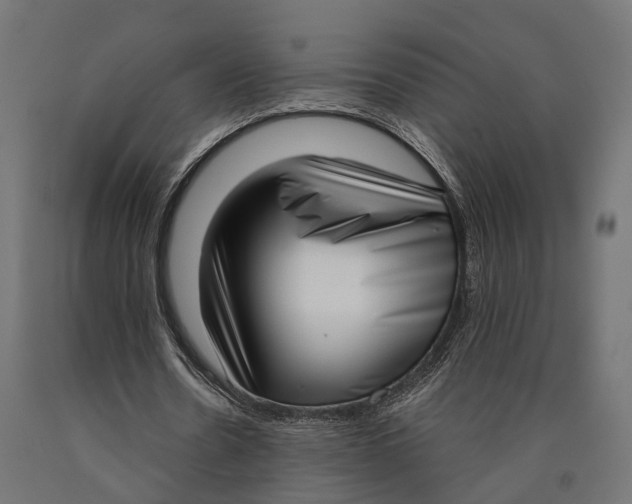 X0000090420530200708031108