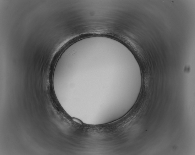 X0000090420532200708031108