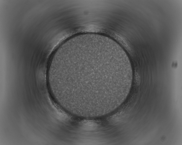 X0000090420534200708031108