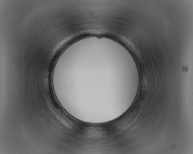 X0000090420535200708031108