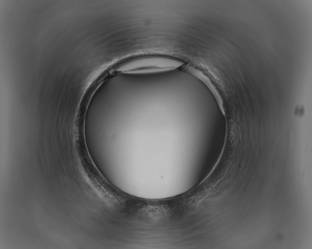 X0000090420536200708031108