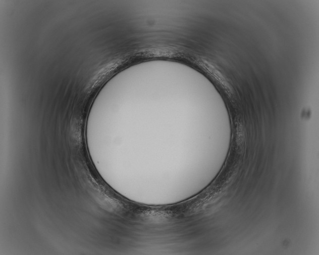 X0000090420537200708031108