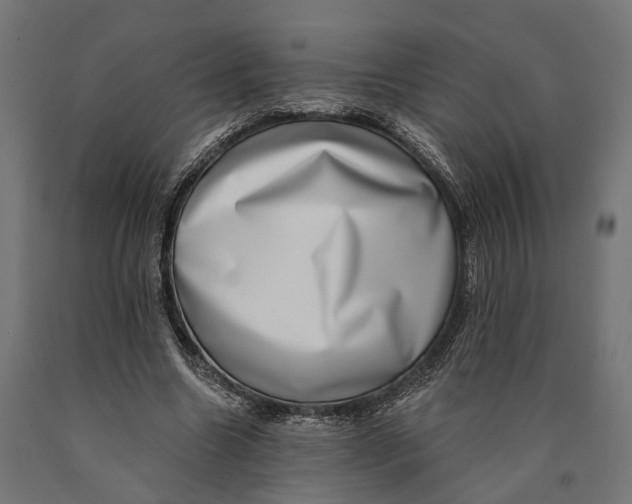 X0000090420538200708031108