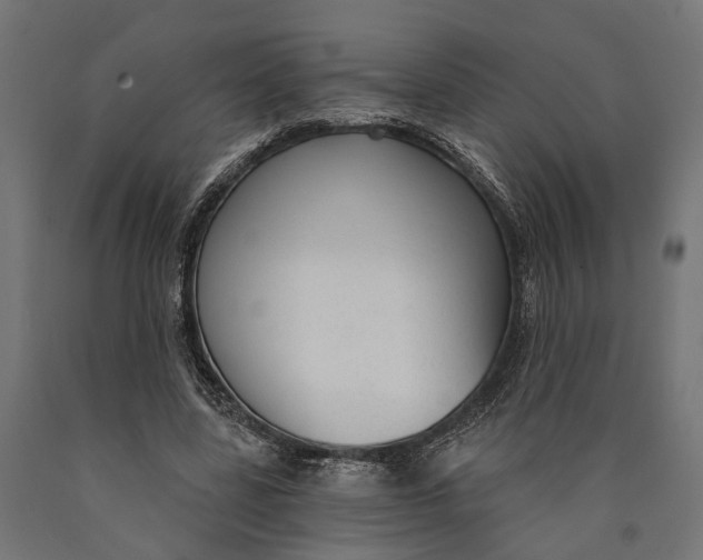 X0000090420539200708031108