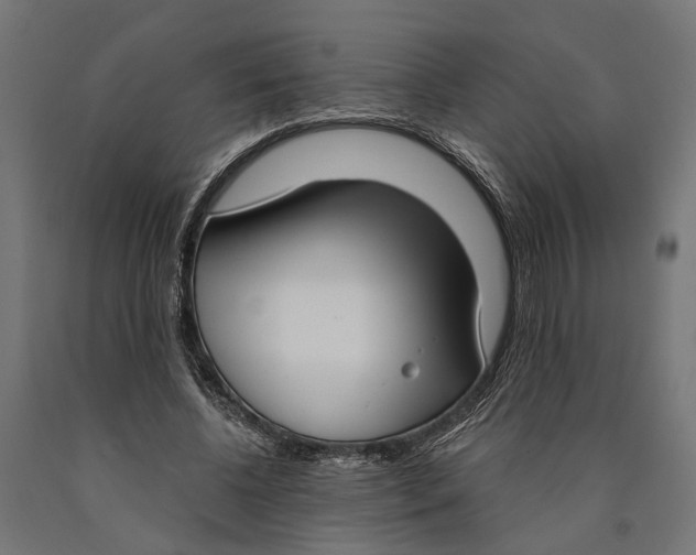 X0000090420540200708031108