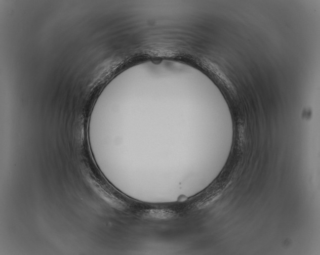 X0000090420541200708031108