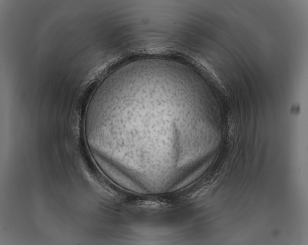 X0000090420542200708031108